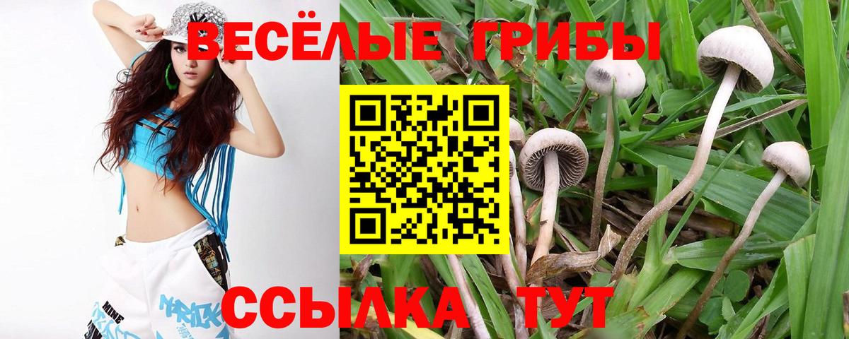 Галлюциногенные грибы прущие грибы Обь